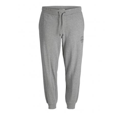 Jack&jones plus jpstgordon jjshark sw pant at noos  pls gris